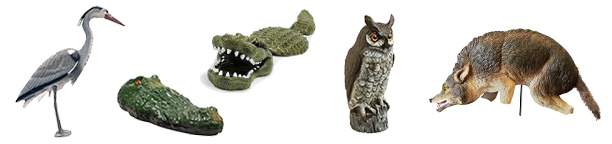 Pond accessories like pond decoys of wolves, owls, cranes and aligators will keep unwanteed critters from your pond and keep your pond fish safe and tranquil!