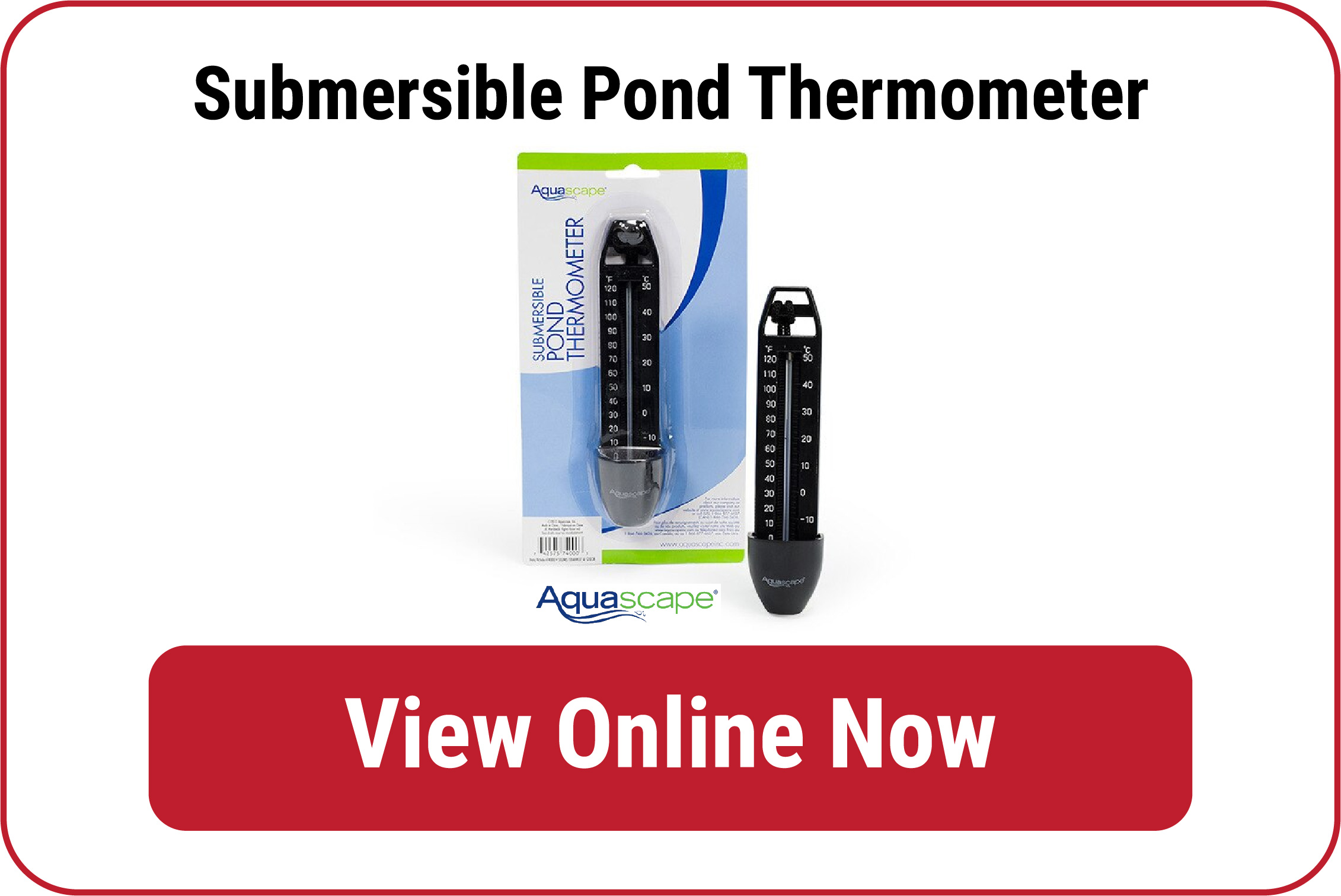 Submersible Pond Thermometer