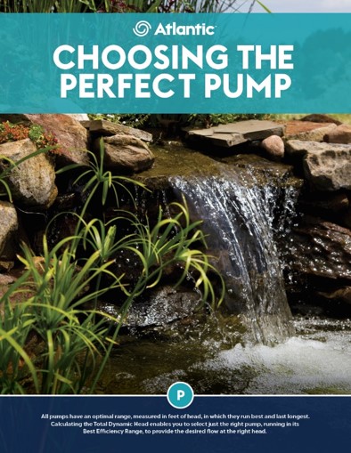 Atlantic's Choosing the Perfect Pump Guide Handout