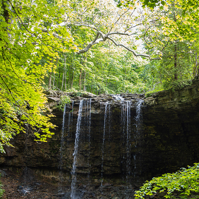Charlestons Falls Preserve