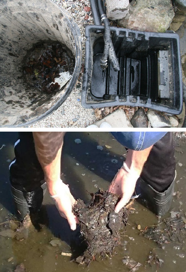 How to Clean a Pond The Complete Pond Cleaning Guide Hoffman's Water