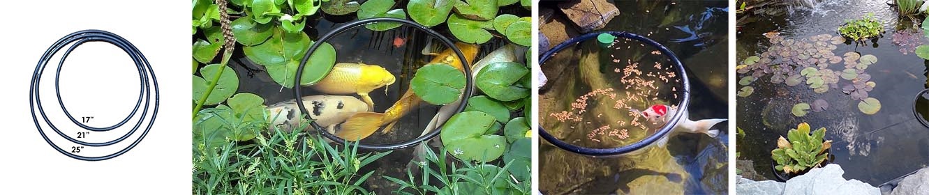A round feeder ring can help keep your fish food and fish out of your skimmer box.