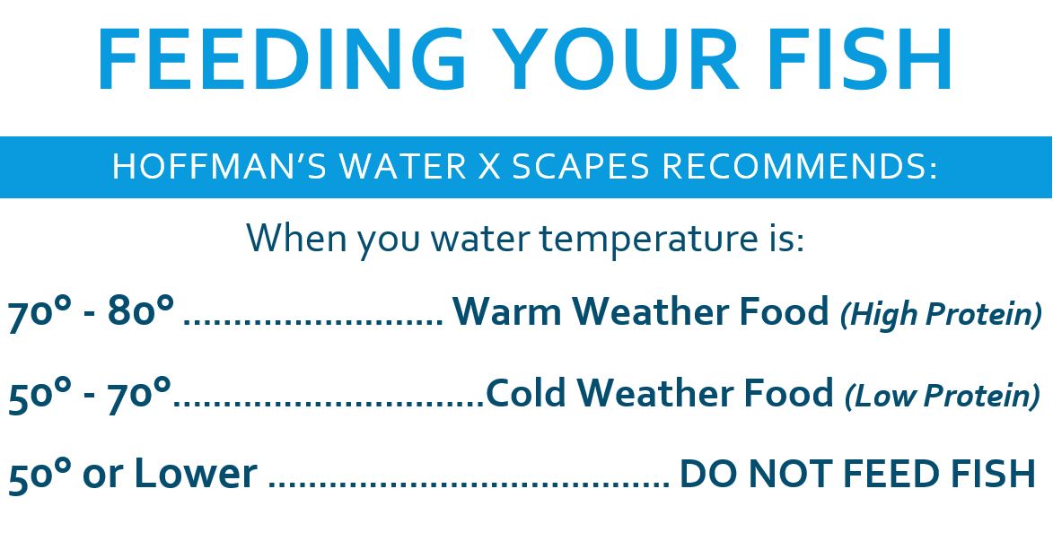 This fish food feeding chart helps to explain when pond fish food should be used or avoided during cold winter months.