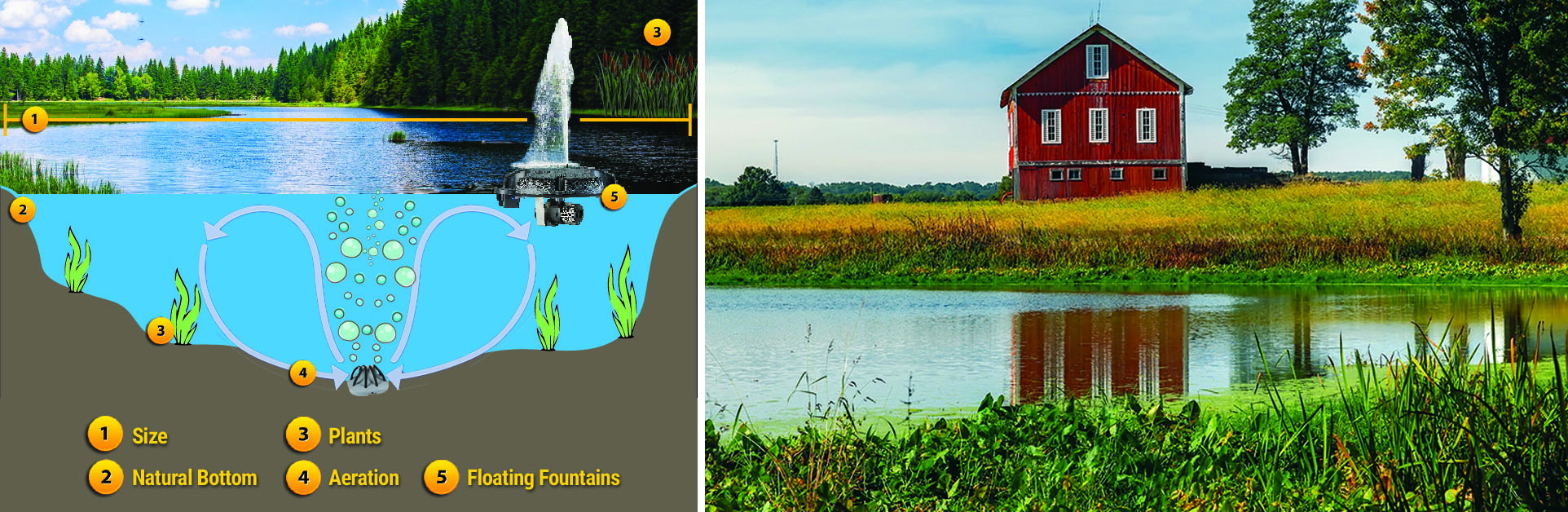 Learn what an earthen bottom pond is (lake) and how to maintain it.