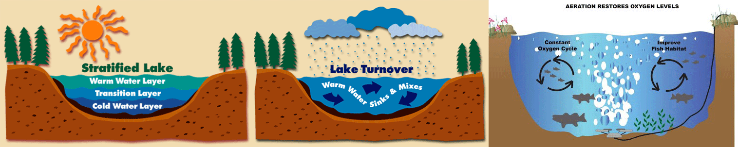 Pond aeration is a must for all ponds, including large earthen bottom ponds. 