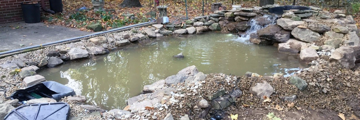 Pond start-up doesn't have to be hard after your pond is built.