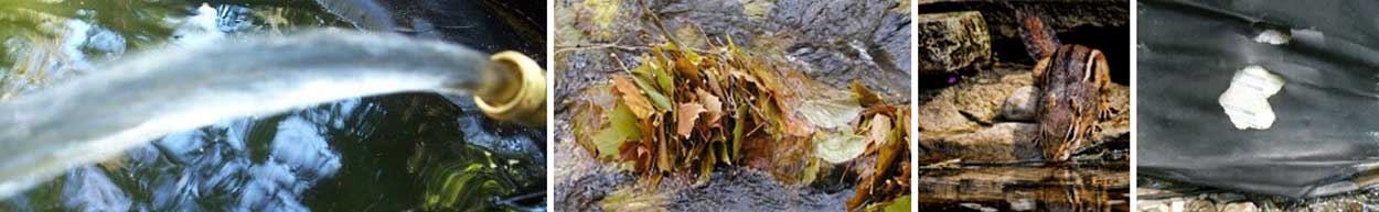 do i have a pond leak or is it evaporation?
