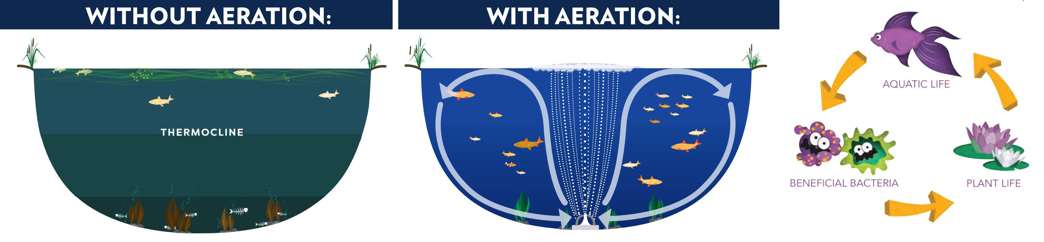 Pond aeration is crucial. Learn why!